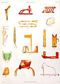 Hieroglyphs from El Kab, Tomb of Paheri, illustration