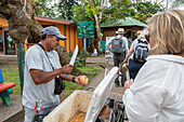 Street vendor cutting coconut