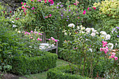 Seating area with wooden bench between roses, box and clematis