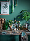 Vintage wooden workbench with plants and glass bottles in front of a green wall