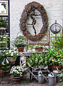 Üppige Gartendekoration mit Vintage-Gießkannen und Pflanzen in Töpfen vor weißer Backsteinwand