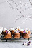 Chocolate cupcakes with edible pansies