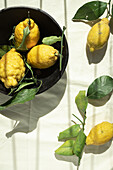 Amalfi lemons with leaves