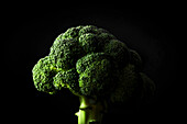 Raw broccoli on a black background