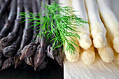 Close-up of purple and white asparagus, garnished with dill