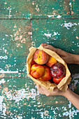 Nectarines and plums in paper bag with hands