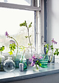 Various vases with spring flowers on windowsill in front of window pane