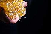 Hand holding dripping honeycomb