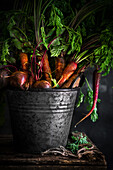 Zinc bucket full of mixed colourful carrots