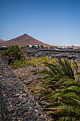 Lanzarote, Canary Islands, Spain