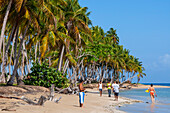 Palmen am Strand von Playa Bonita auf der Halbinsel Samana in der Dominikanischen Republik in der Nähe der Stadt Las Terrenas