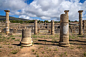 Roman ruins of Baelo Claudia at Bolonia, Costa de la Luz, Cadiz Province, Andalusia, southern Spain. Bolonia beach. Playa de Bolonia.