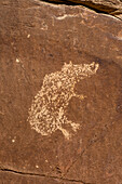 A pre-Hispanic Native American petroglyph rock art panel in Nine Mile Canyon in Utah.