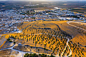 Luftaufnahme der Altstadt von Osuna, Olivenbäume und Stierkampfarena von Osuna, Sevilla Andalusien Spanien