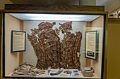 A painted Ute Native American woman's elk-hide robe in the USU Eastern Prehistoric Museum in Price, Utah.