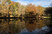 Herbst in Las Navas del Marqués, Provinz Ávila