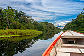 Amazonas-Fluss Expedition mit dem Boot auf dem Amazonas in der Nähe von Iquitos, Loreto, Peru. Fahrt auf einem der Nebenflüsse des Amazonas nach Iquitos, etwa 40 Kilometer von der Stadt Indiana entfernt