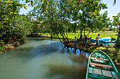 Boat trip in the rainforest, Mangroves. Ecotourism. Los Haitises National Park, Sabana de La Mar, Dominican Republic.