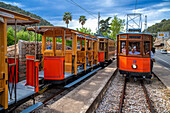 Vintage tram at the Port de Soller village. The tram operates a 5kms service from the railway station in the Soller village to the Puerto de Soller, Soller Majorca, Balearic Islands, Spain, Mediterranean, Europe.