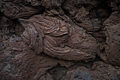 Volcan del Cuervo (Crow volcano) a crater explored by a loop trail in a barren, rock-strewn landscape