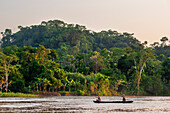 Wooden small boat sailing with local people on Purus river in Amazon on sunny summer day with trees on river bank, near Iquitos, Loreto, Peru. Navigating one of the tributaries of the Amazon to Iquitos about 40 kilometers near the town of Indiana.