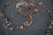 Volcan del Cuervo (Crow volcano) a crater explored by a loop trail in a barren, rock-strewn landscape