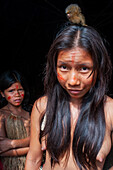Zwergseidenäffchen als Haustier Yagua-Indianer leben ein traditionelles Leben in der Nähe der Amazonasstadt Iquitos, Peru