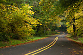 Siuslaw River Road in autumn, Coast Range Mountains, Lane County, Oregon.