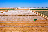 Baumwollfelder in Isla Mayor, Lebrija, Sevilla, Spanien. Der untere Guadalquivir, ein Referenzgebiet für die andalusische Baumwollproduktion. Baumwollstripper bei der Ernte eines Feldes reifer, ertragreicher Stripper-Baumwolle
