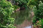 Fluss Jarama, Laguna del Campillo, Puente Verde, in Rivas-Vaciamadrid. Zug El Tren de Arganda oder Tren de la Poveda in Arganda del Rey, Madrid, Spanien