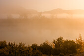 Frühmorgendlicher Nebel über dem Green River im Dinosaur National Monument mit dem Split Mountain in der Silhouette dahinter. Utah