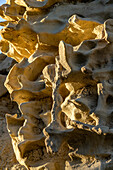 Fantastically eroded sandstone formations at sunset in the Fantasy Canyon Recreation Site, near Vernal, Utah.