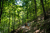 Hiking trail through Gorges de la Carança, Pyrénées-Orientales, Languedoc-Roussillon, France.