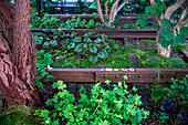 Old tracks railway in the New york high line new urban park formed from an abandoned elevated rail line in Chelsea lower Manhattan New york city HIGHLINE, USA