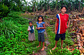Local children in the riverside village of Timicuro I. Iqutios peruvian amazon, Loreto, Peru