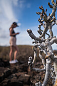 Cueva de los Verdes, eine Lavaröhre und Touristenattraktion der Gemeinde Haria auf der Kanarischen Insel Lanzarote, Spanien