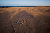 Wind blows sand on a beach in Lanzarote, Canary Islands, Spain