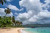 Palmen am Strand von Playa Bonita auf der Halbinsel Samana in der Dominikanischen Republik in der Nähe der Stadt Las Terrenas