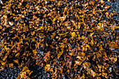 Montaña Bermeja beach in Lanzarote, Canary Islands, Spain