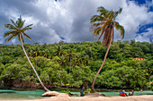 Boat trip in the rainforest, Mangroves. Ecotourism. Los Haitises National Park, Sabana de La Mar, Dominican Republic.