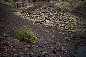 Volcan del Cuervo (Crow volcano) a crater explored by a loop trail in a barren, rock-strewn landscape