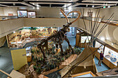 A diorama of a Columbian Mammoth being hunted by a man with an atlatl. USU Eastern Prehistoric Museum, Price, Utah.