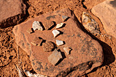 Flint & pottery herds of pre-Hispanic Native Americans. West Bench Pueblo site, Vermilion Cliffs National Monument, Arizona.