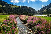 Small river and flowers in the Vall de Nuria Sanctuary hotel building in the catalan pyrenees mountains, Spain. Famous recreation and travel destination.