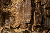 Eine prähispanische Felszeichnung der amerikanischen Ureinwohner, die einen großen Elch darstellt, im Nine Mile Canyon in Utah
