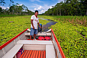 Amazonas-Fluss-Expedition mit dem Boot auf dem Amazonas bei Iquitos, Loreto, Peru. Fahrt auf einem der Nebenflüsse des Amazonas nach Iquitos, ca. 40 km nahe der Stadt Indiana