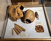 Display of pre-Hispanic food artifacts, including squash and maize in the USU Eastern Prehistoric Museum in Price, Utah.