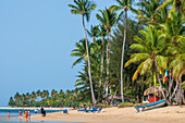 Las Terrenas beach, Samana, Dominican Republic, Carribean, America. Tropical Caribbean beach with coconut palm trees.