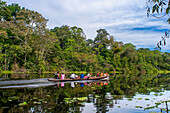 Hölzernes Motorboot mit Einheimischen auf dem Purus-Fluss im Amazonasgebiet an einem sonnigen Sommertag mit Bäumen am Flussufer, in der Nähe von Iquitos, Loreto, Peru. Fahrt auf einem der Nebenflüsse des Amazonas nach Iquitos, etwa 40 Kilometer von der Stadt Indiana entfernt