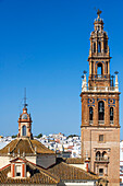Alcázar puerta de Sevilla (Sevilla-Tor) mit der Kirche San Pedro im Hintergrund, Carmona, Andalusien, Spanien. Altstadt von Carmona Sevilla Andalusien Südspanien